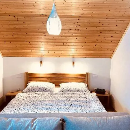 Apartment U Johanky Zeleny *